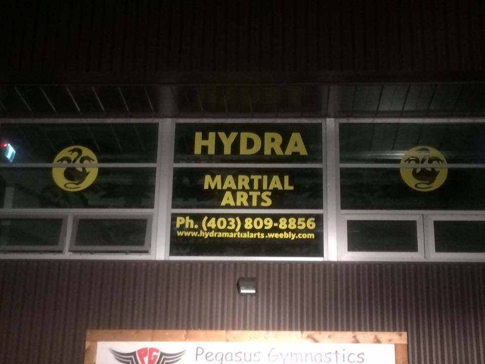 Hydra Martial Arts - South Location | 11166 42 St SE, Calgary, AB T2C 0J9, Canada | Phone: (403) 809-8856