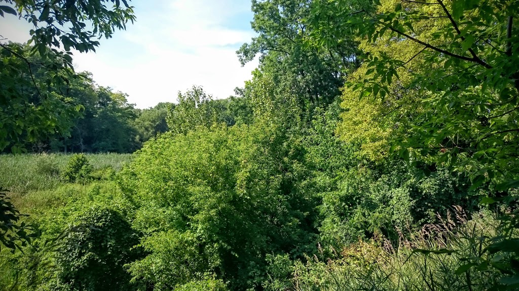 Stevenson Swamp | 6 Holmcrest Trail, Scarborough, ON M1C 1V5, Canada