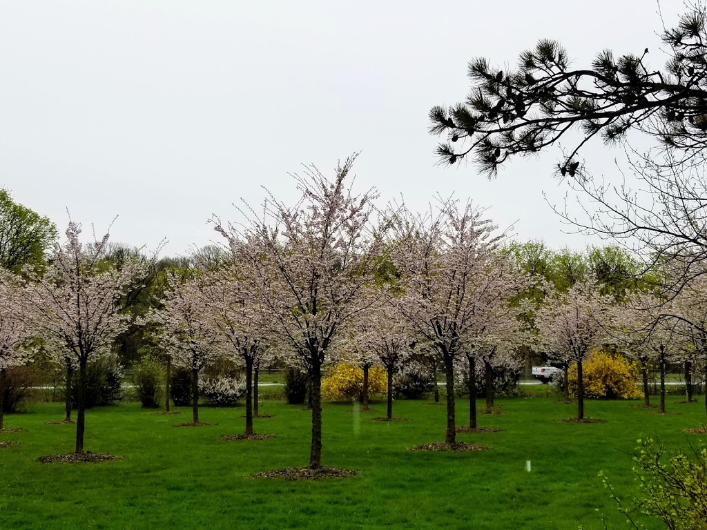 Urquhart Butterfly Garden | Waterdown, ON L0R 2H9, Canada