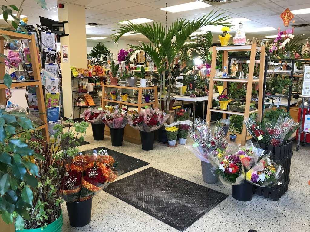 Truspeers Garden & Florist | 36 Scarlett Rd, York, ON M6N 4K1, Canada | Phone: (647) 436-9900