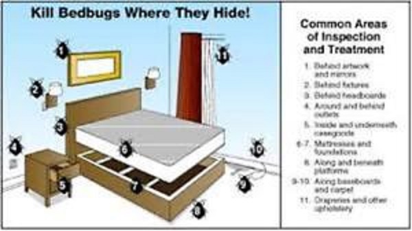 Economical Bedbug Solutions | 193 Prairie Springs Crescent SW, Airdrie, AB T4B 0G1, Canada | Phone: (403) 945-4446