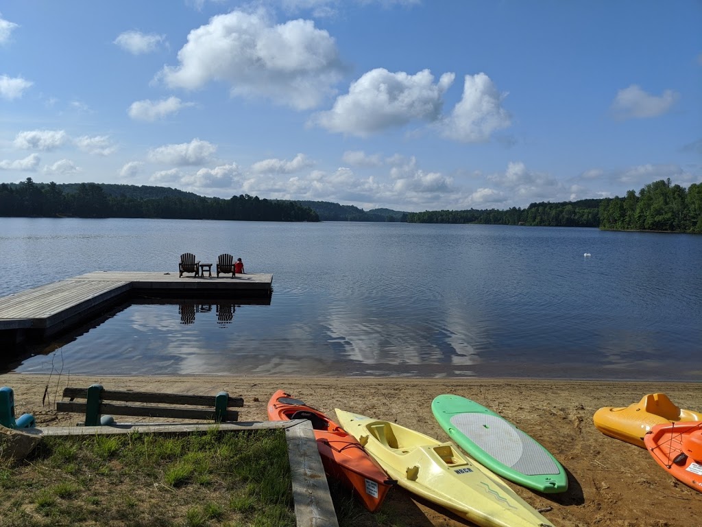 White Birches Cottage Resort | 1016 Oxtongue Lake Road, Dwight, ON P0A 1H0, Canada | Phone: (705) 635-2322