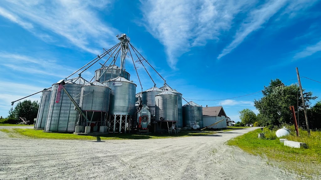 Céréales Normandin inc. | 1001 Rang N, Normandin, QC G8M 4P3, Canada | Phone: (888) 515-8482