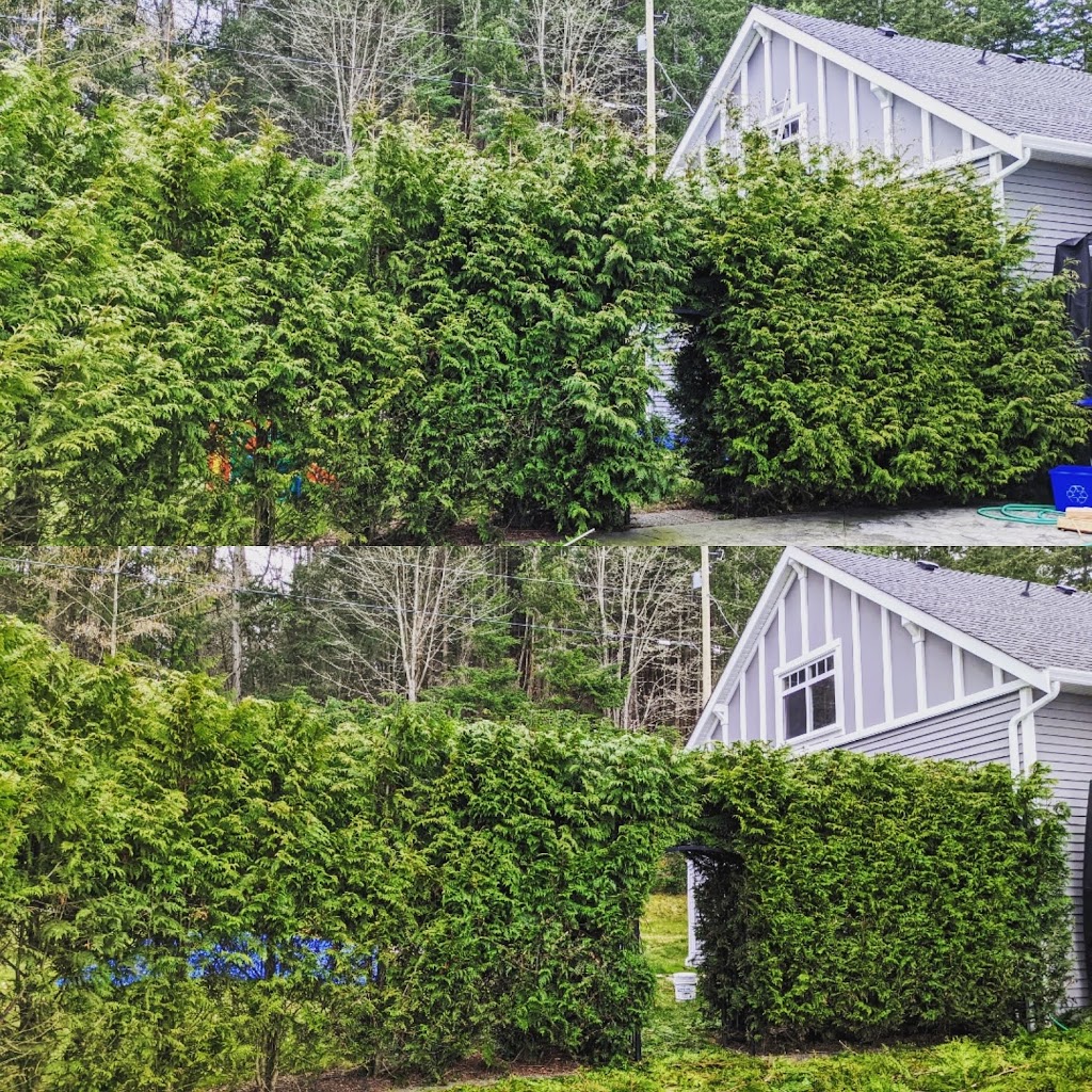 Grow Pro Landscaping | 6 Rosamond St, Nanaimo, BC V9R 1R3, Canada | Phone: (250) 713-9248