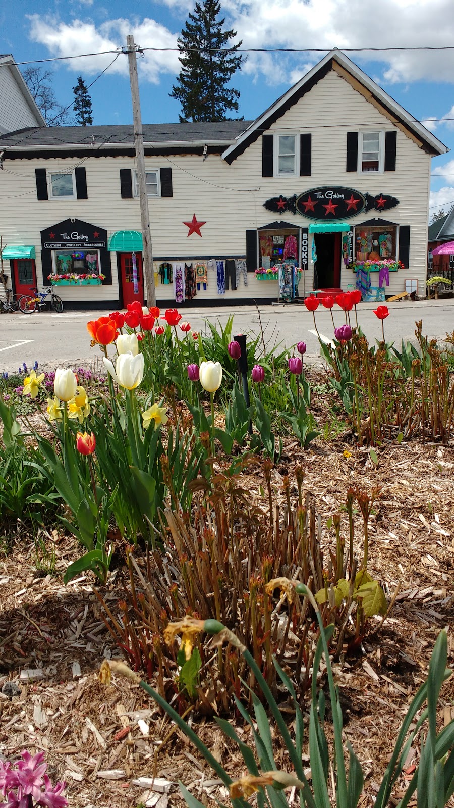 The Gallery... Books, Jewelry, Womens Fashions & Cottage Furnit | 44 Main St B1437, Bobcaygeon, ON K0L 1A0, Canada | Phone: (705) 344-2164