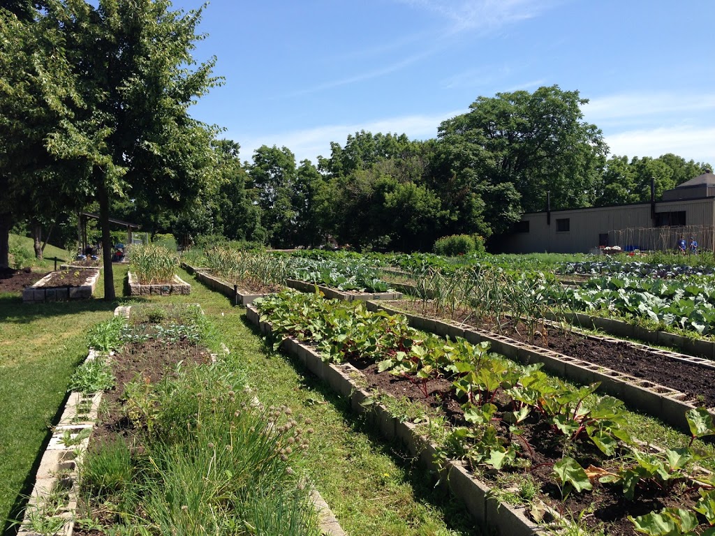 Cancord Victory Garden, Hamilton Victory Gardens | 330 Mary St, Hamilton, ON L8L 3G3, Canada | Phone: (905) 921-5918