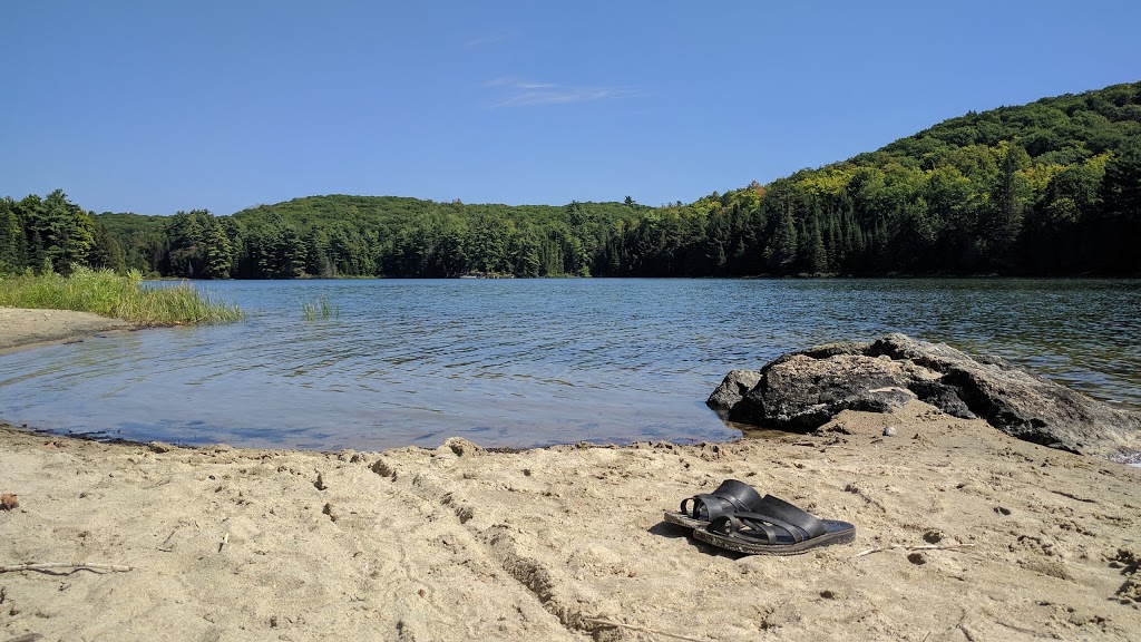 Breton Beach | Chemin du Lac-Philippe, La Pêche, QC J0X 2W0, Canada