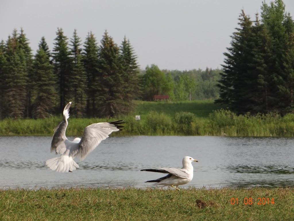 Birds Hill Provincial Park West Beach Parking Lot | Springfield, MB R0E 1J0, Canada