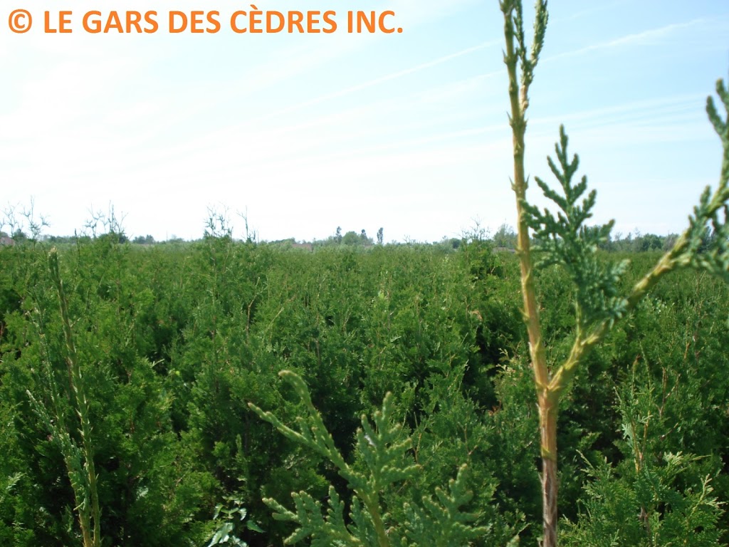 Le Gars Des Cèdres inc. ( sur rendez-vous) | 299 Rang du Petit Coteau, Verchères, QC J0L 2R0, Canada | Phone: (514) 791-6331