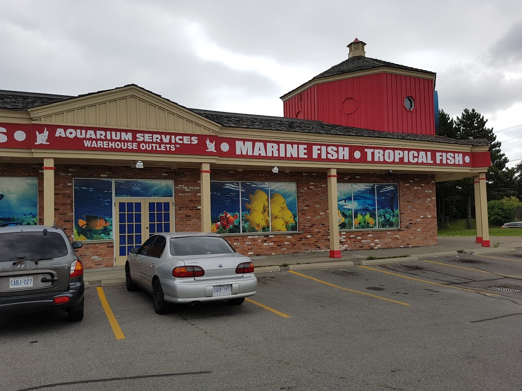 Big Als Aquarium Supercentres - Whitby | 1916 Dundas St E, Whitby, ON L1N 2L6, Canada | Phone: (905) 725-3474