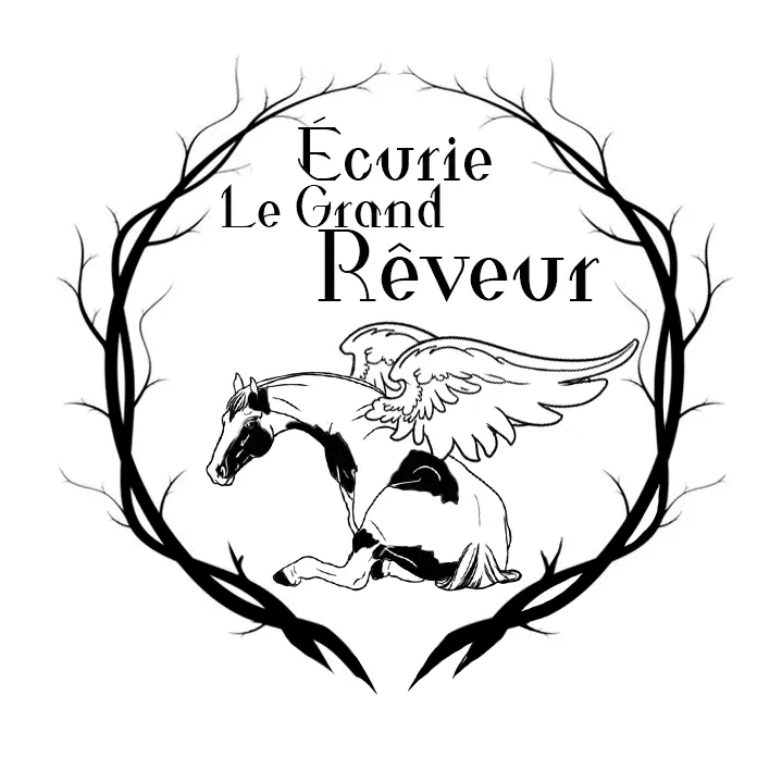 Écurie Grand-Rêveur | 154 Grand Rang, Saint-Basile, QC G0A 3G0, Canada | Phone: (418) 803-8155