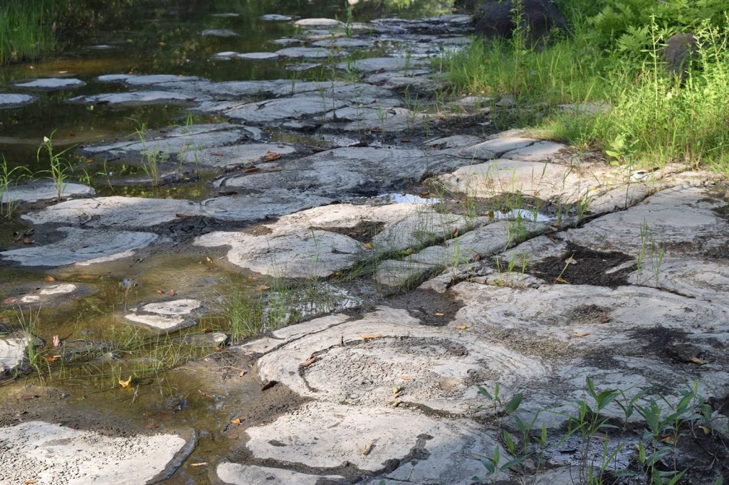 Stromatolites | Sentier des Voyageurs, Gatineau, QC J9H 7K9, Canada