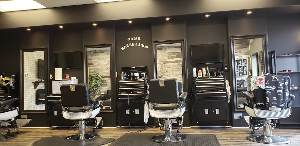 Odish Barbershop | 13412 Tecumseh Rd, Tecumseh, ON N8N 2L9, Canada | Phone: (519) 739-1124