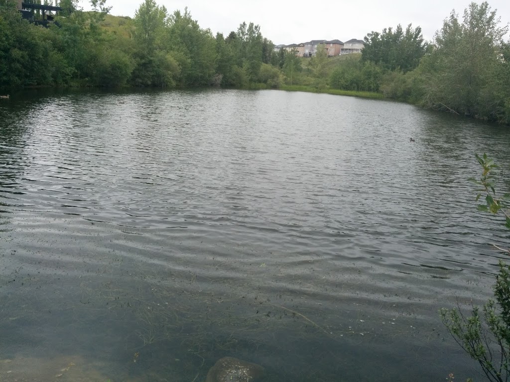 Sarina Pond | 166 R Royal Ridge Mt NW, Calgary, AB T3G 0A2, Canada