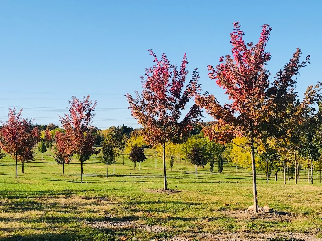 Aldershot Landscape Contractors | 166 Flatt Rd, Burlington, ON L7P 0T3, Canada | Phone: (905) 825-1802