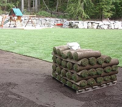 Vancouver Sod Farms | 3865 72 St, Delta, BC V4K 3N2, Canada | Phone: (604) 803-4125