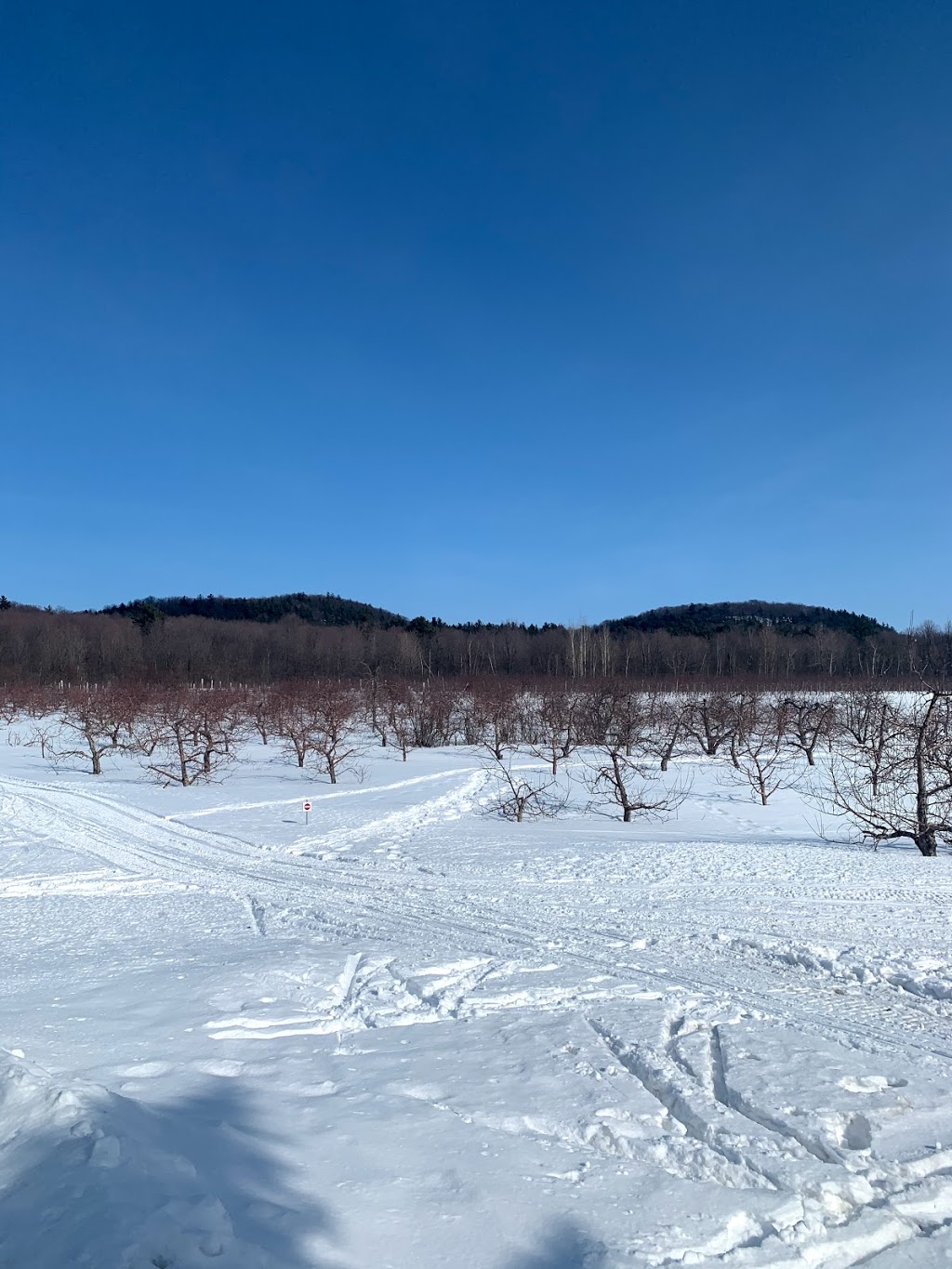 Club de Ski de fond et Raquette de Rougemont | 141 Rang de la Montagne ROUTE 229, Rougemont, QC J0L 1M0, Canada | Phone: (450) 469-4550