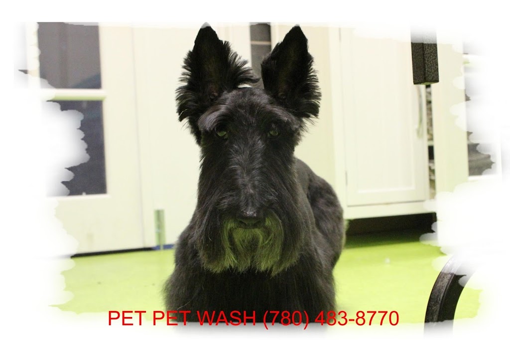 Pet Pet Wash Professional Dog Grooming Ltd | 15622 112 Ave NW, Edmonton, AB T5M 2W1, Canada | Phone: (780) 483-8770