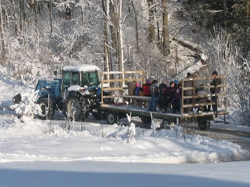 Cedar Hill Christmas Tree Farm | 951 8 Th Conc South, Pakenham, ON K0A 2X0, Canada | Phone: (613) 256-3029