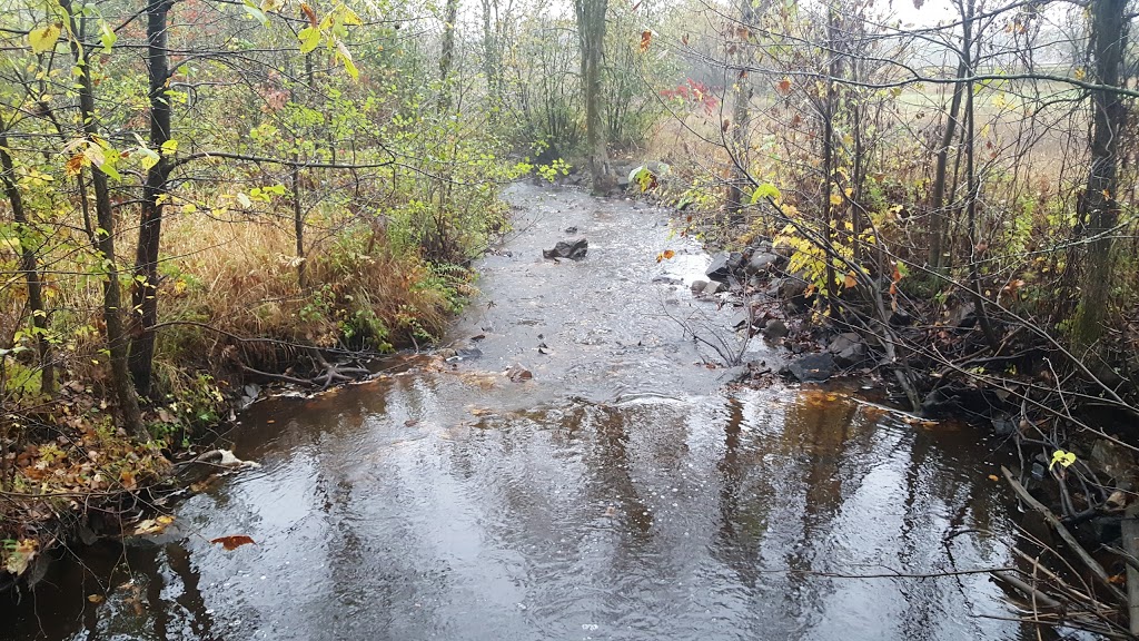 Parc régional de la Rivière-du-Nord (Chutes Wilson) | 750 Chemin de la Rivière du N, Saint-Jérôme, QC J7Y 5G2, Canada | Phone: (450) 431-1676