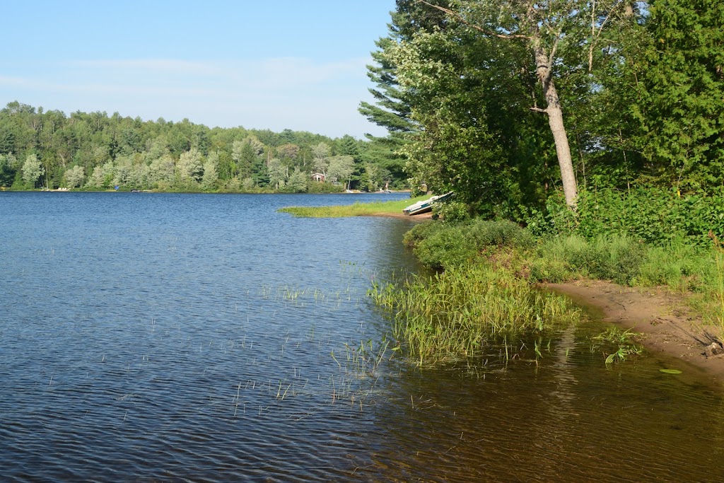 Cathedral Under the Pines | 25 Chapel Rd, Barrys Bay, ON K0J 1B0, Canada | Phone: (613) 756-2933