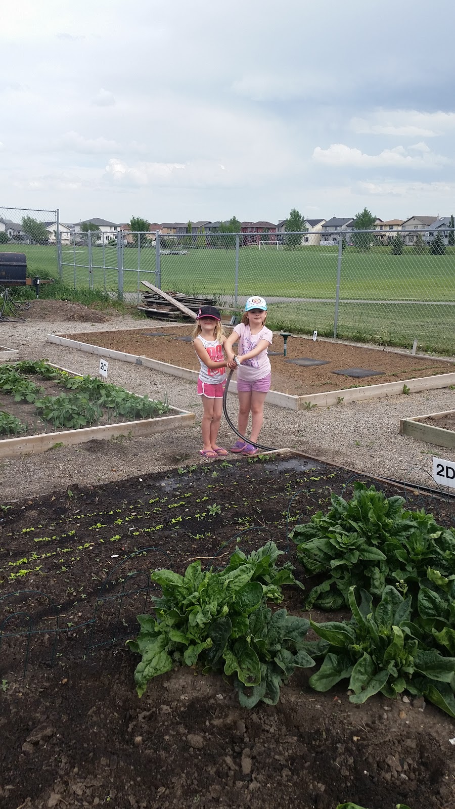 Airdrie Community Gardens | Box 80026, Airdrie, AB T4B 2V8, Canada