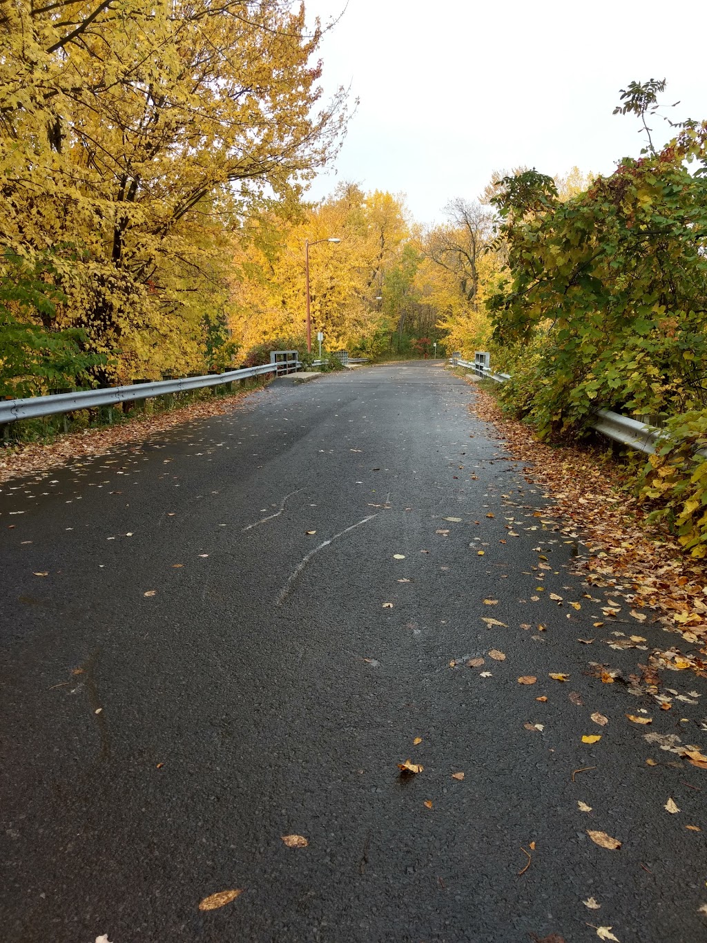 Aire de repos Île-Mercier | Boulevard Mercier, LÎle-Bizard, QC H9E 1H2, Canada