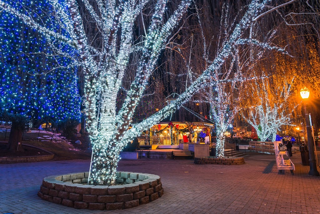 Fraser Valley Christmas Lights | 7345 Leary Crescent, Chilliwack, BC V2R 1K2, Canada | Phone: (604) 398-4970