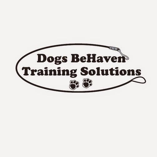 Dogs BeHaven Training Solutions | 72 2nd St, Beeton, ON L0G 1A0, Canada | Phone: (905) 729-0173