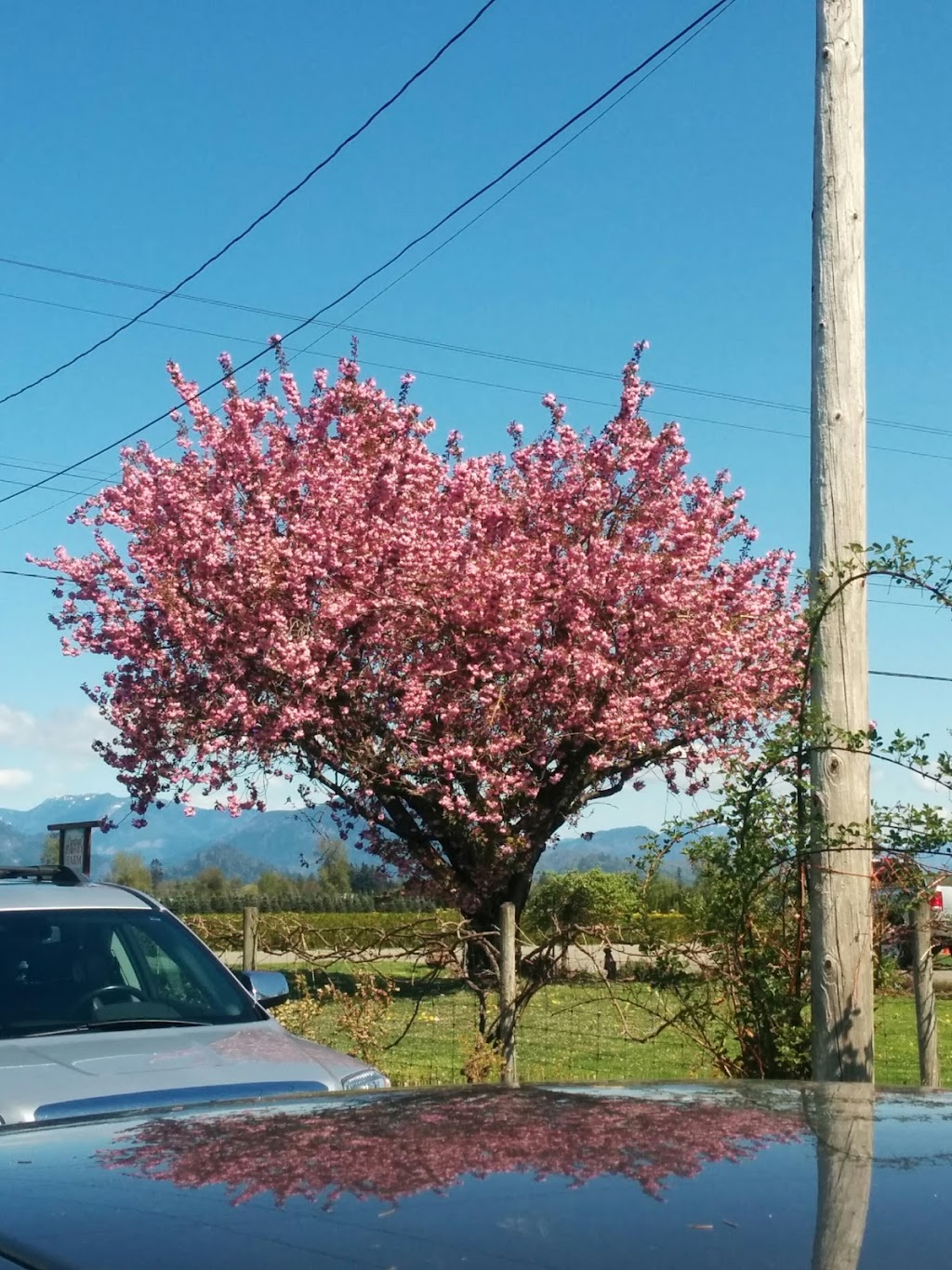 central hobby farm | 48878 Chilliwack Central Rd, Chilliwack, BC V2P 6H3, Canada | Phone: (604) 793-3280