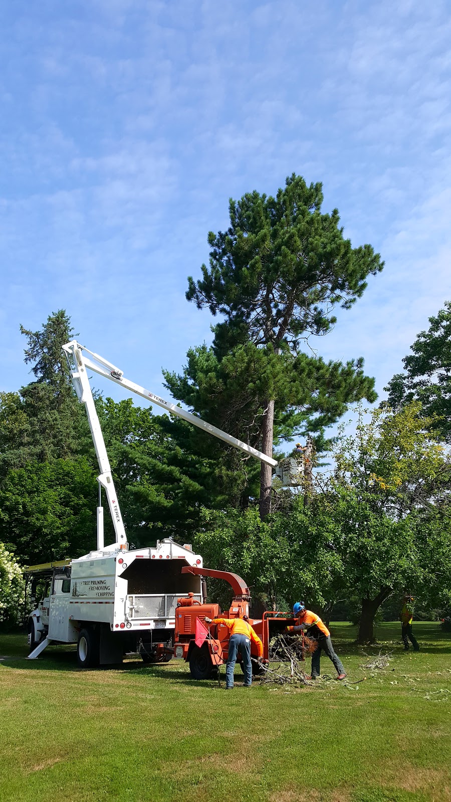 Hannas Contracting & Tree Svc | 796 N Napan Rd, Napan, NB E1N 5E2, Canada | Phone: (506) 773-9967