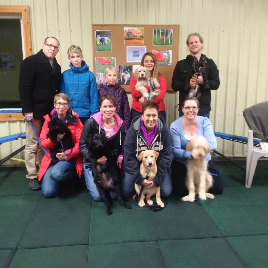 Montessaurus Puppy School | 4424 Victoria Rd S, Puslinch, ON N0B 2J0, Canada | Phone: (519) 829-8408