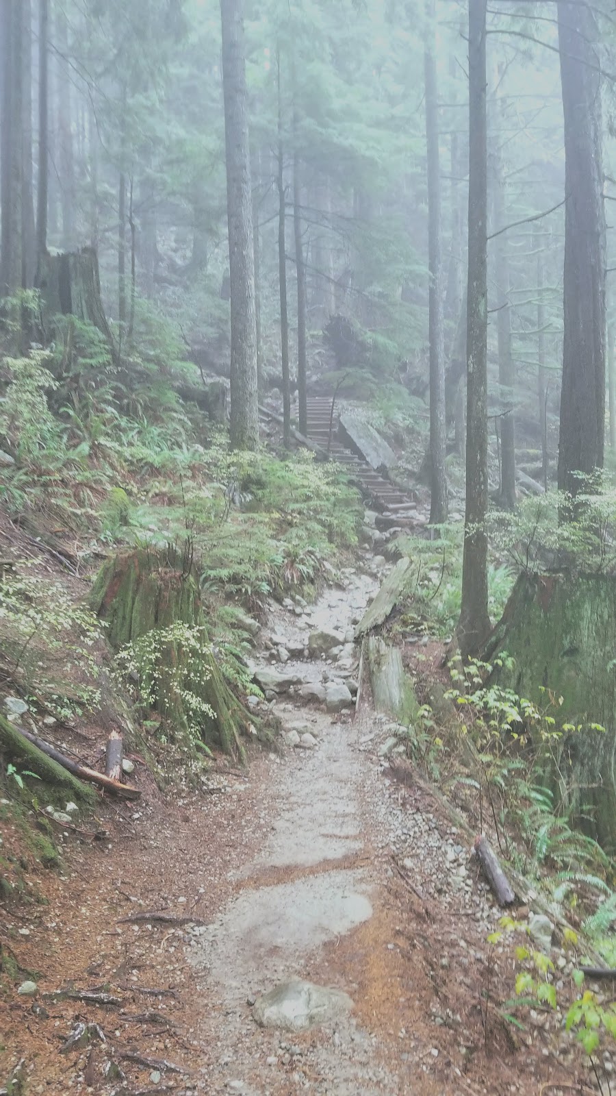 Cedar Mills Trail | Cedar Mills Trail, North Vancouver, BC V7K 3B2, Canada