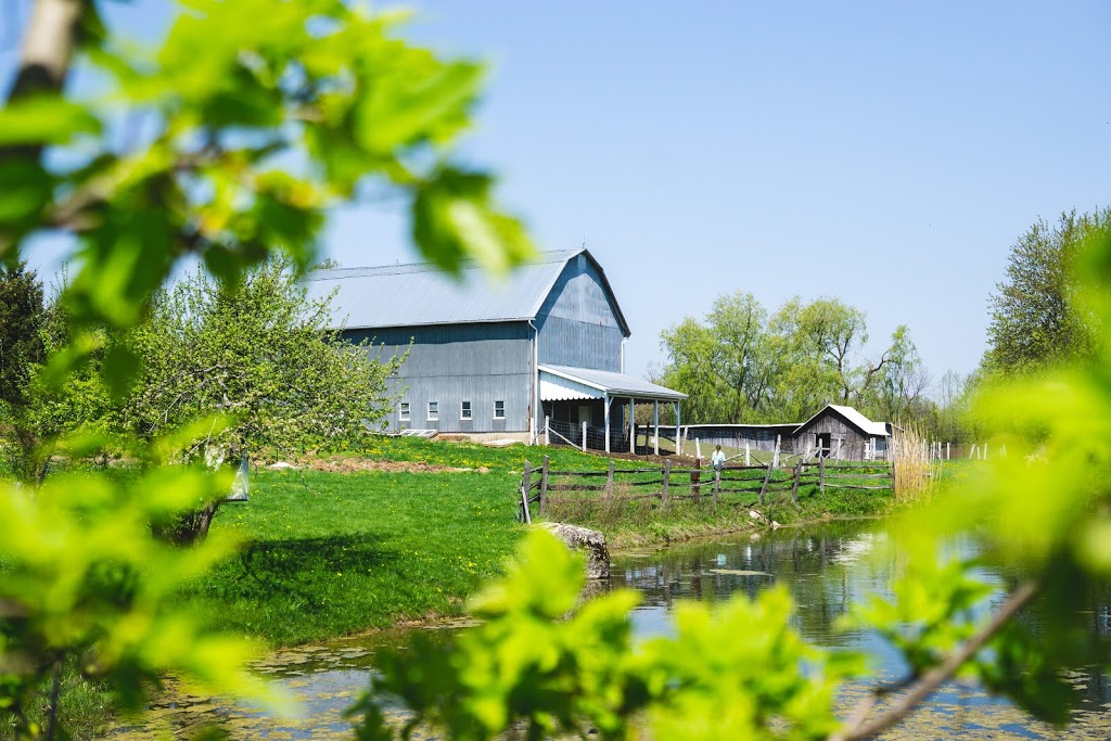 Cedar Haven Eco-Centre | 1039 97, Freelton, ON L0R 1K0, Canada | Phone: (888) 953-9275