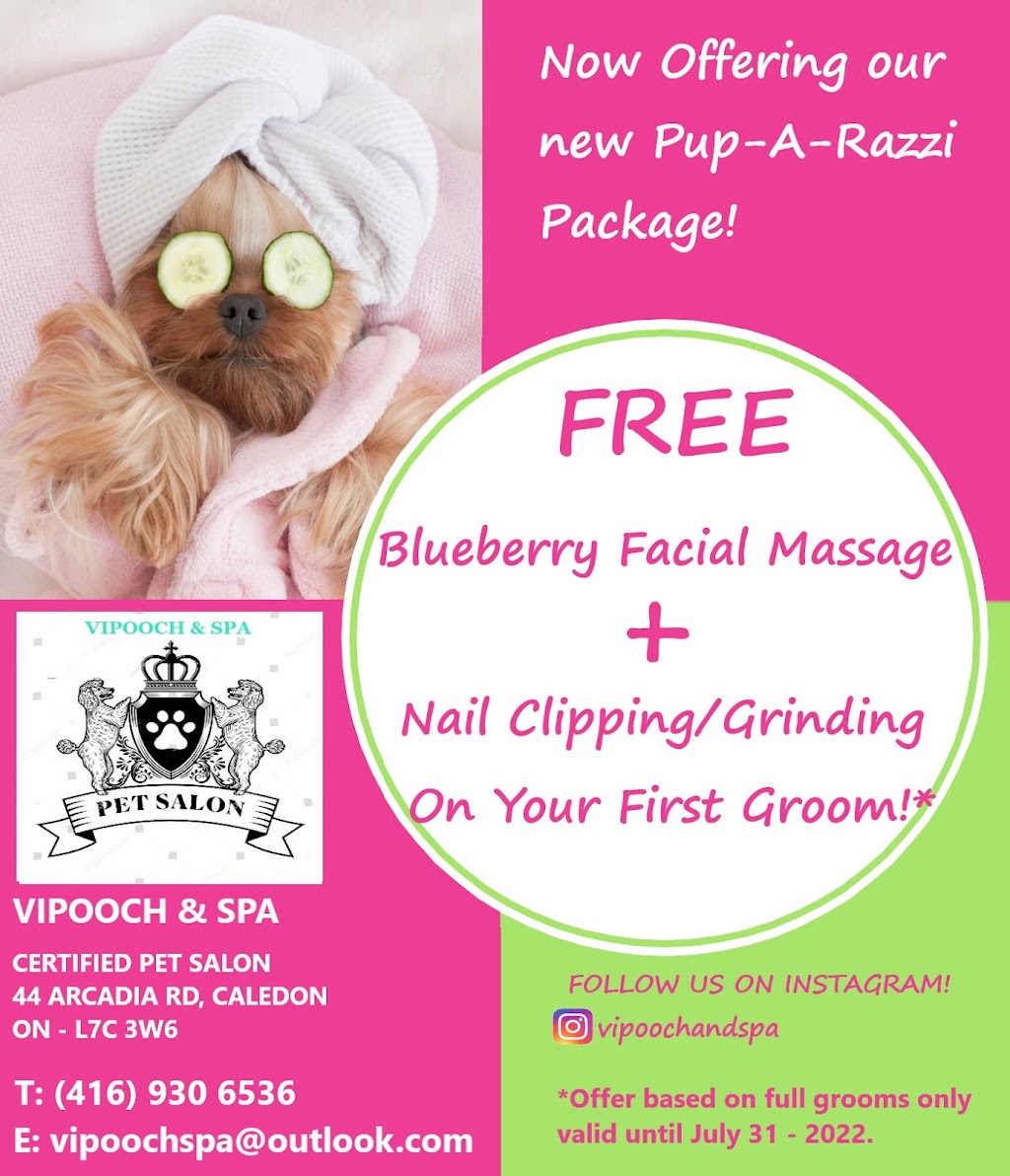 Vipooch & Spa | 44 Arcadia Rd, Caledon, ON L7C 3W6, Canada | Phone: (416) 930-6536