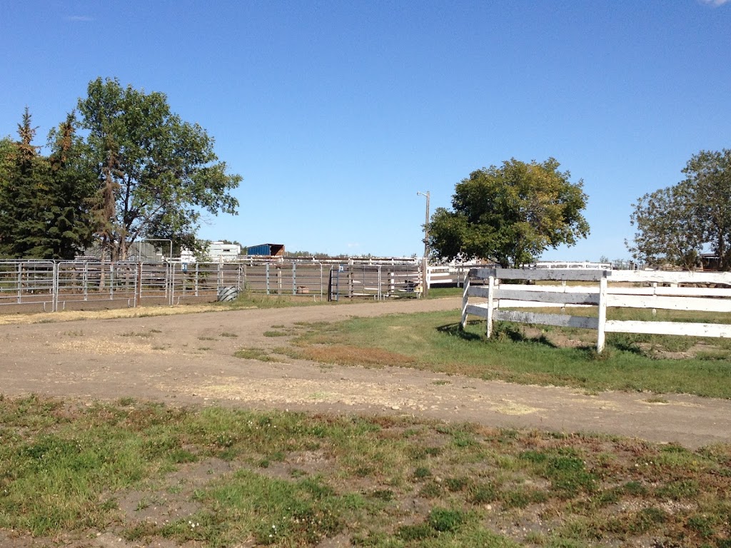 Spirit Horse Stables Ltd | 26020 Township Rd 554, Sturgeon County, AB T8R 2G9, Canada | Phone: (780) 939-5125