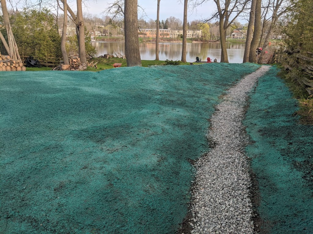 SouthWest Hydroseeding | Colborne St W, Brantford, ON N3T 1P9, Canada | Phone: (519) 732-0922