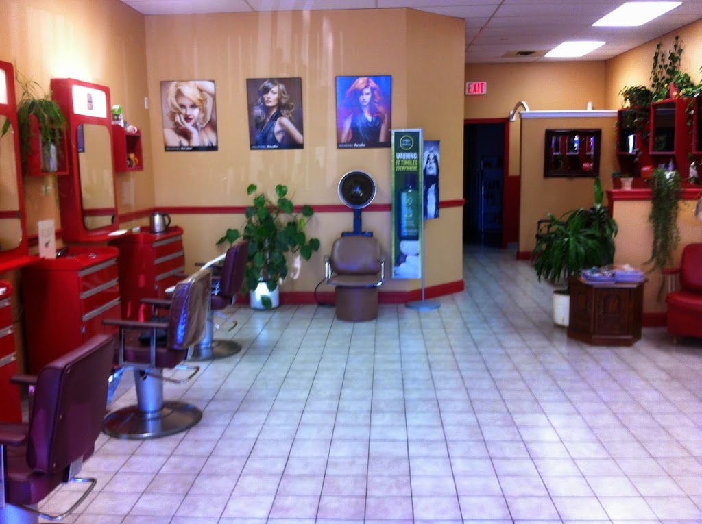 salon117 hair design | Lake City Plaza, 117 Main St, Dartmouth, NS B2X 1R6, Canada | Phone: (902) 462-5911