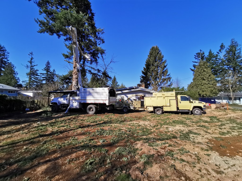 Mid Valley Tree Services | 2613 264 St, Aldergrove, BC V4W 2V5, Canada | Phone: (604) 791-8733