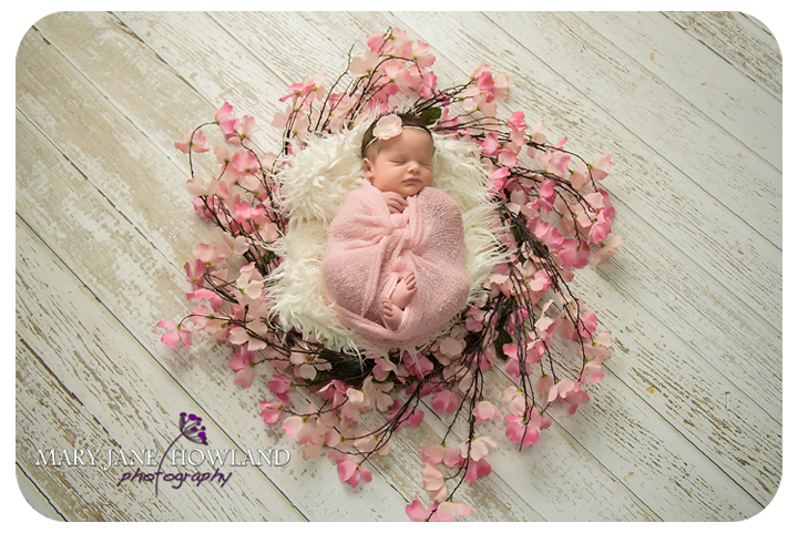 Mary Jane Howland Photography | 1278 Parkdale Creek Gardens, Victoria, BC V9B 0K9, Canada | Phone: (250) 598-4169