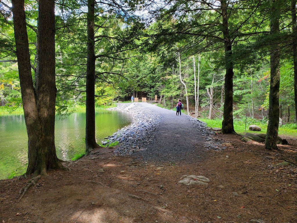 Domaine naturel du lac Gale | 201 Chemin du Lac Gale, Bromont, QC J2L 2S5, Canada | Phone: (450) 534-4414