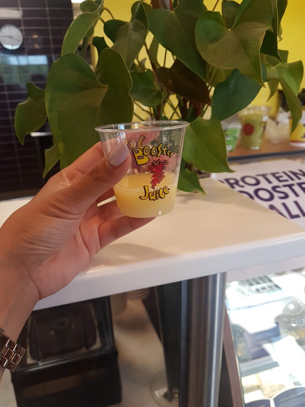 Booster Juice | 125 The Queensway Unit B1, Etobicoke, ON M8Y 1H6, Canada | Phone: (416) 428-6462