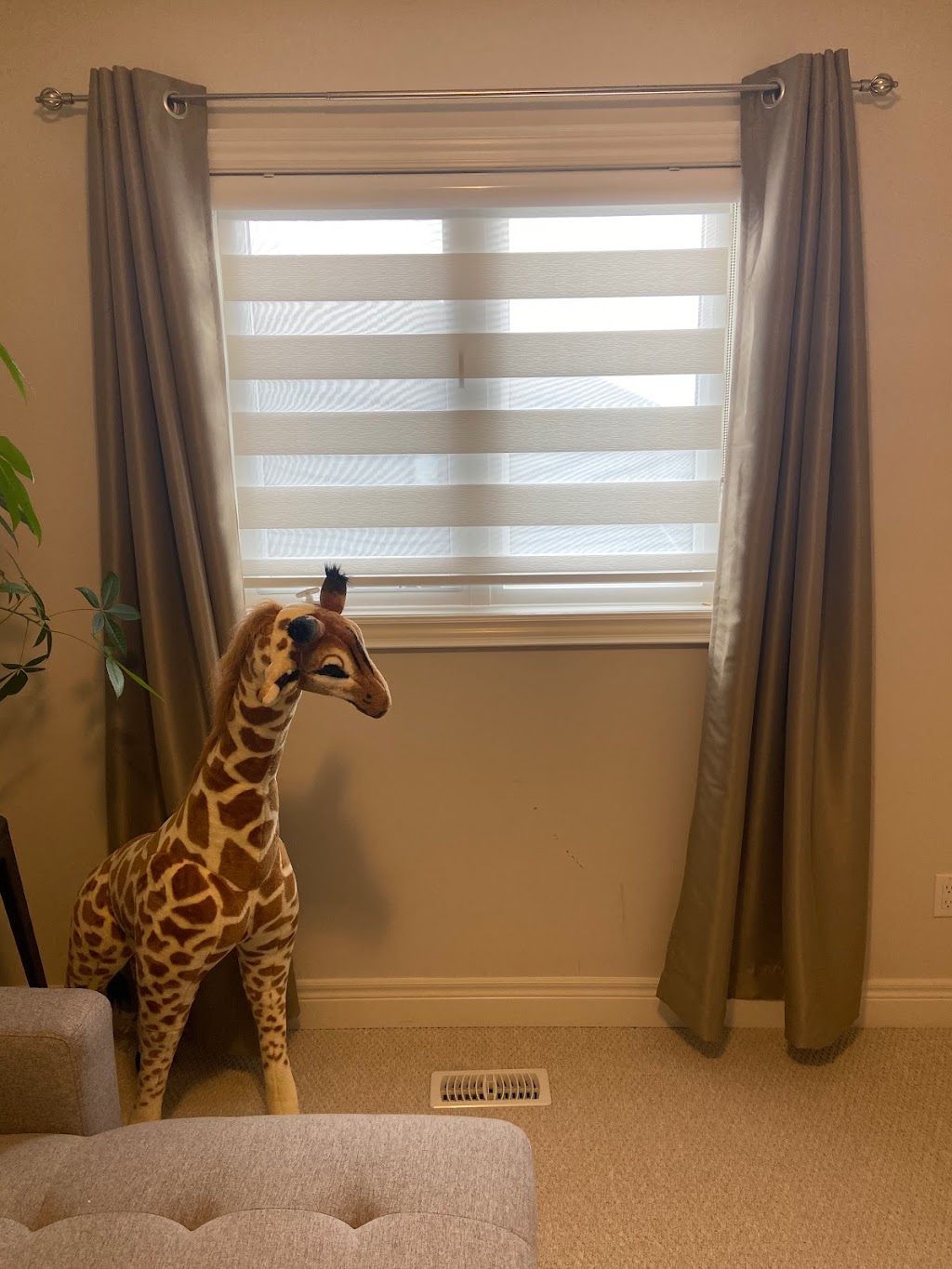 ZEBRA`S BLINDS | 30 Valhalla Blvd, Scarborough, ON M1N 3B2, Canada | Phone: (647) 860-7495