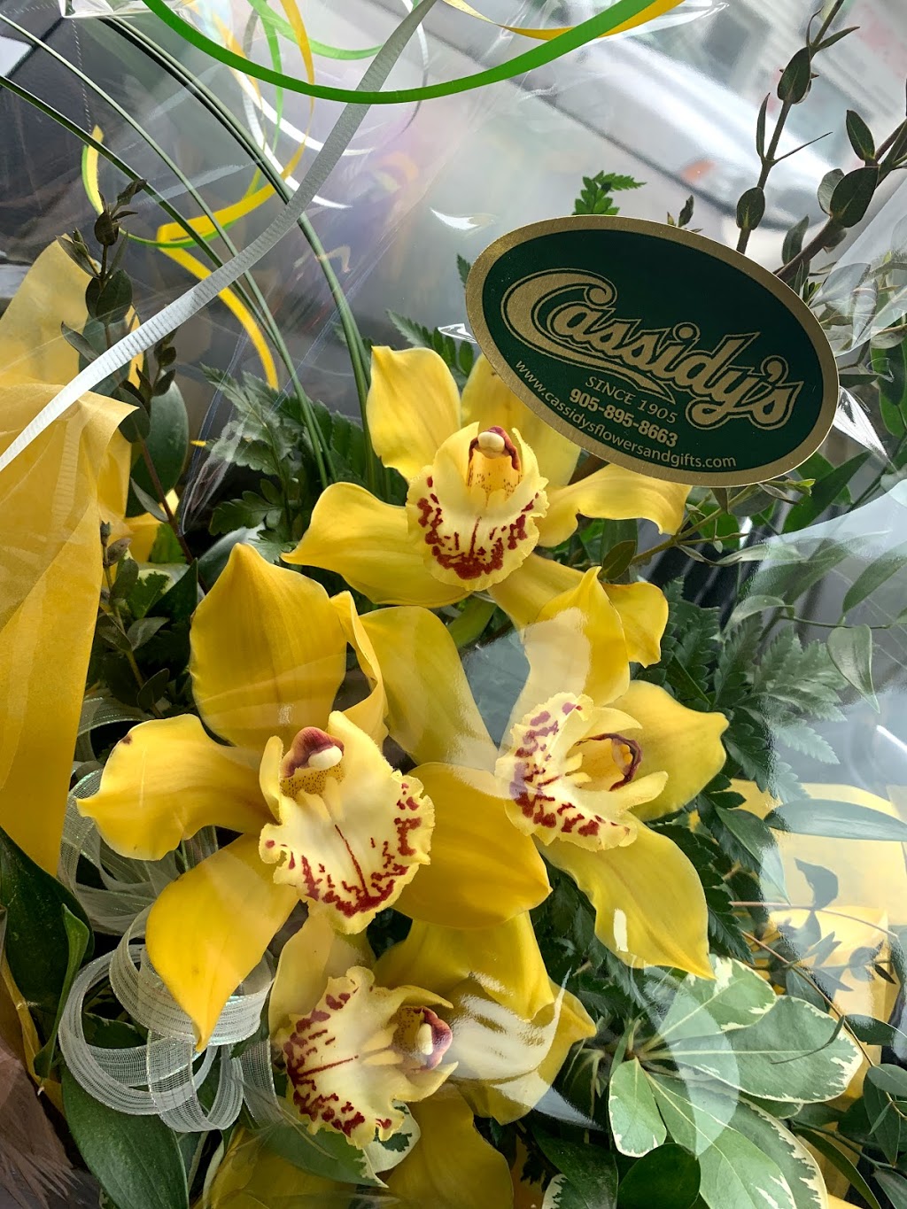 Cassidys Flowers & Gifts | 15 Main St S, Newmarket, ON L3Y 3Y1, Canada | Phone: (905) 895-8663