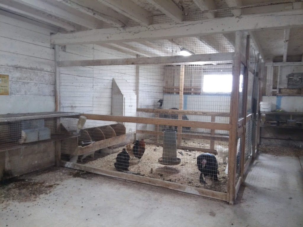 Ferme Bel Alpaga | 1331 2e Rang, Saint-Bonaventure, QC J0C 1C0, Canada | Phone: (819) 396-1498