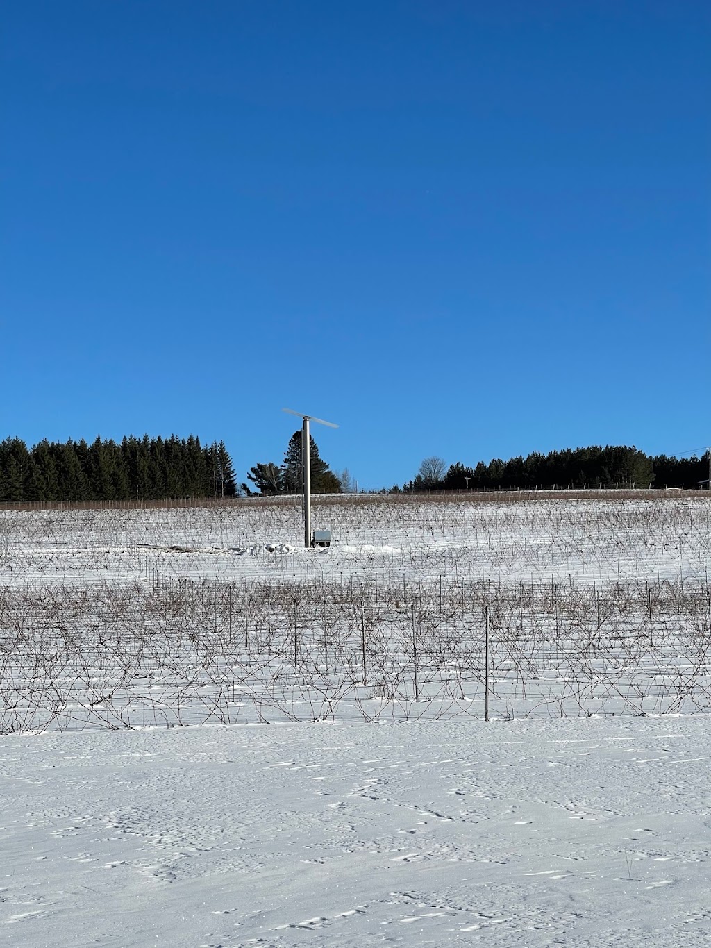 Chinook windmachines Canada | 484 Av. Curry, Hemmingford, QC J0L 1H0, Canada | Phone: (514) 913-3414