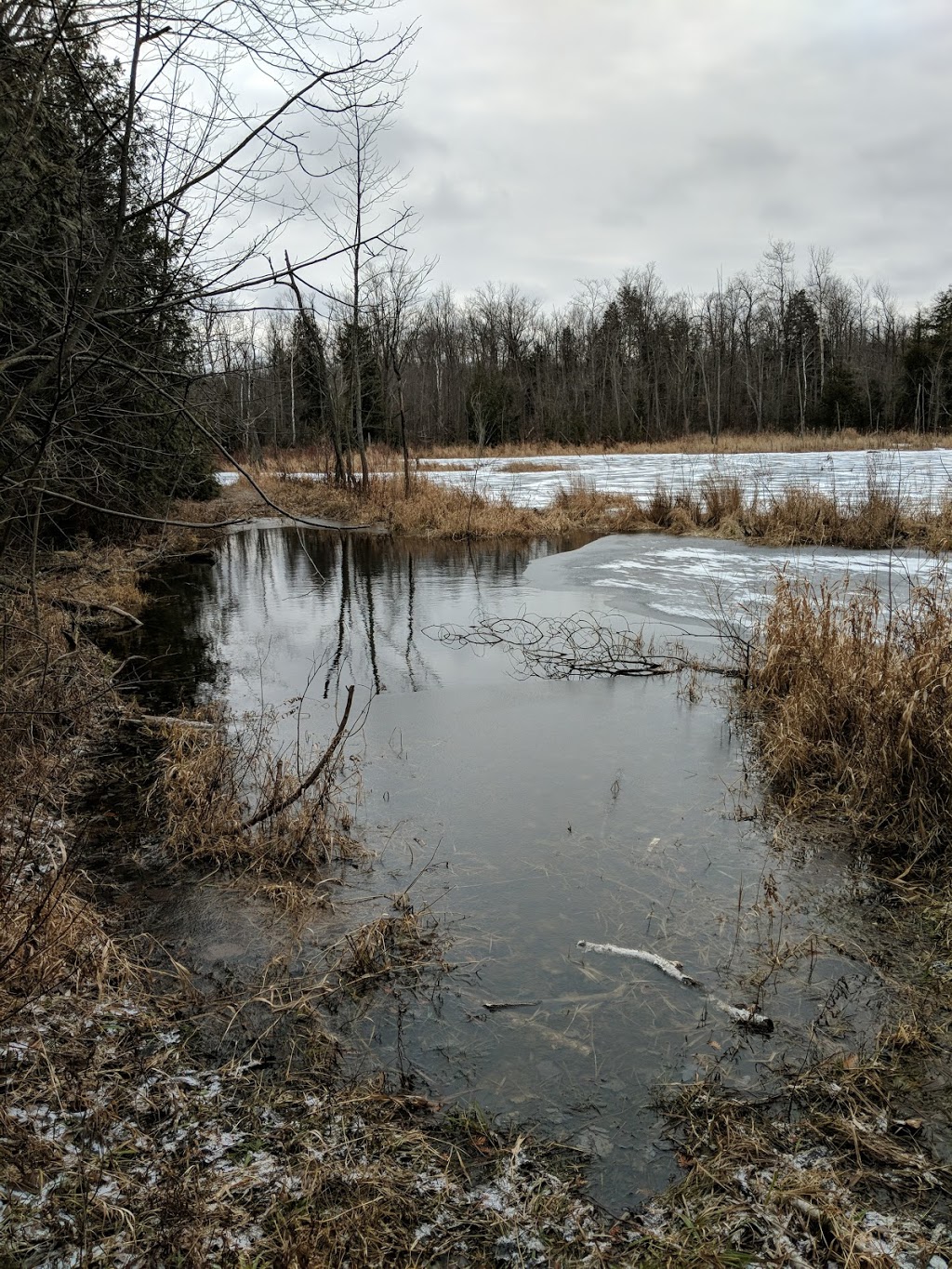 Wildfrid G Crozier Nature Reserve | Regional Rd 25, Halton Hills, ON L9T 2X7, Canada | Phone: (800) 440-2366