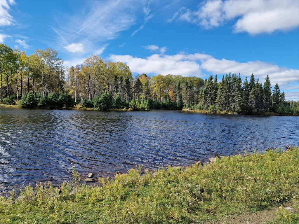 Zoo Sauvage de Saint-Felicien | 2230 Bd du Jardin, Saint-Félicien, QC G8K 0H1, Canada | Phone: (418) 679-0543