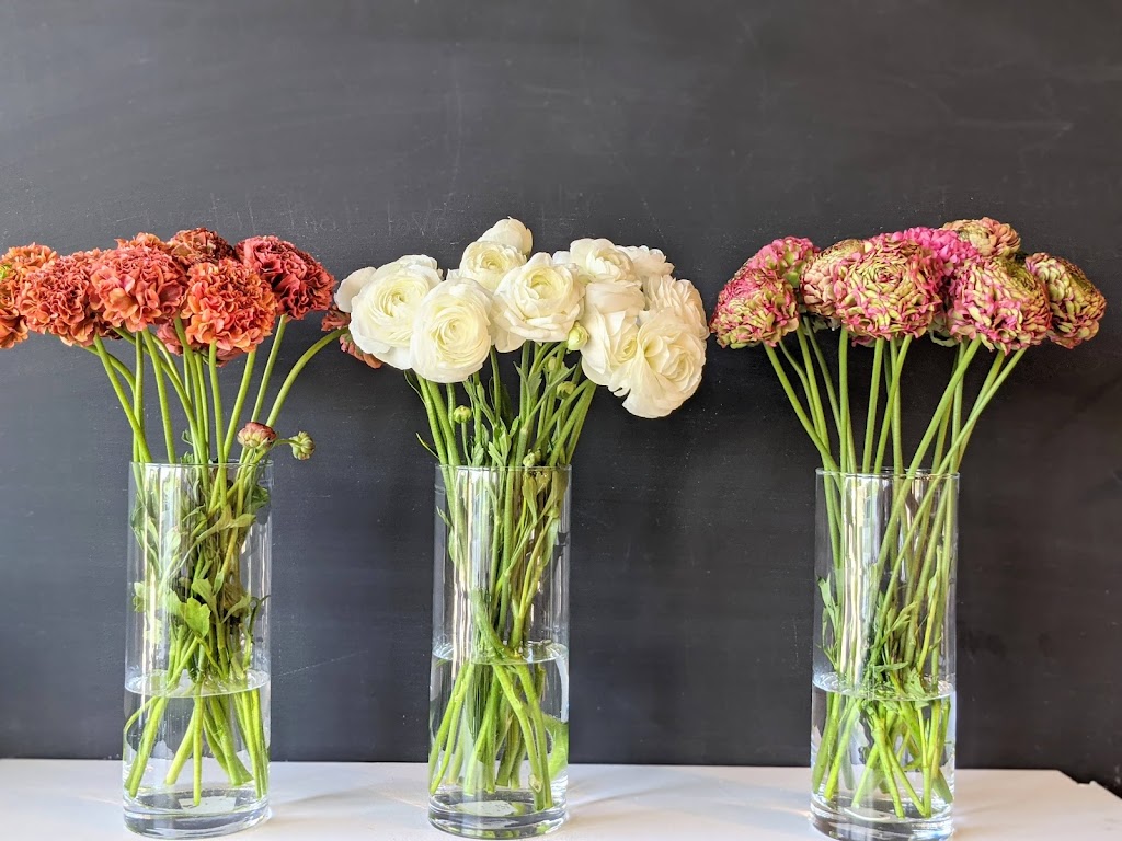 Flowers By The Dozen (Burlington) | 794 Brant St Unit 1, Burlington, ON L7R 2J2, Canada | Phone: (905) 681-1112