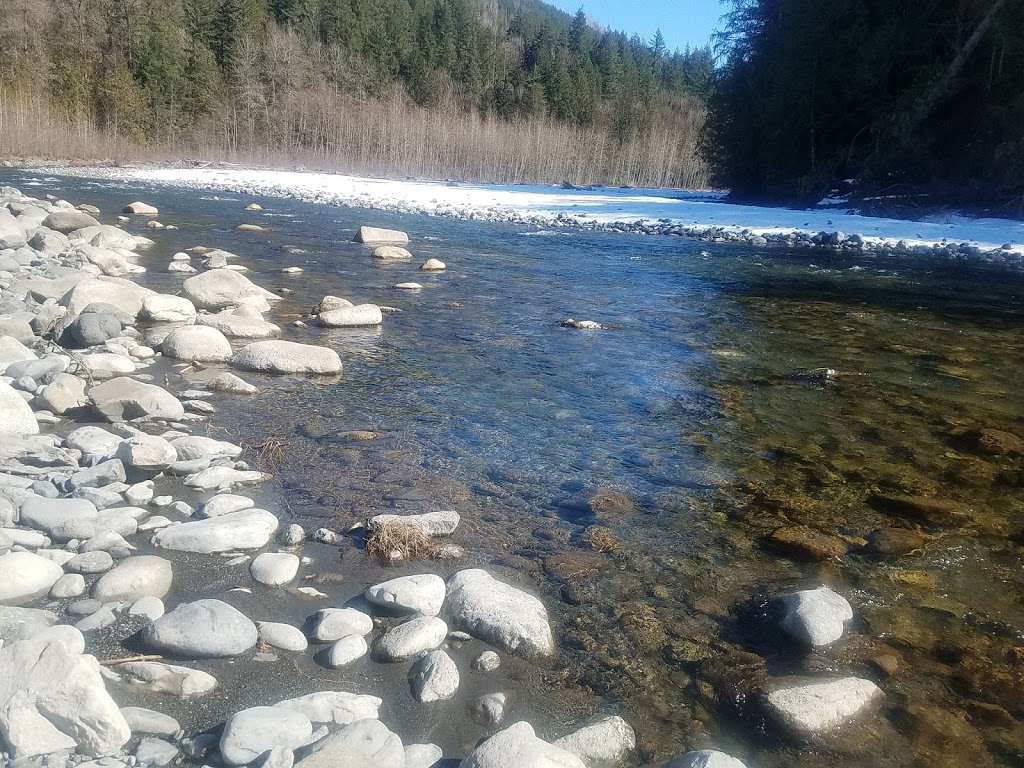 Twelve Bedroom Lodge - 03MBH | 8959 Mt Baker Hwy, Deming, WA 98244, USA | Phone: (636) 736-4460